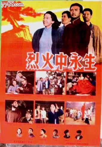 九州共立大学diploma
